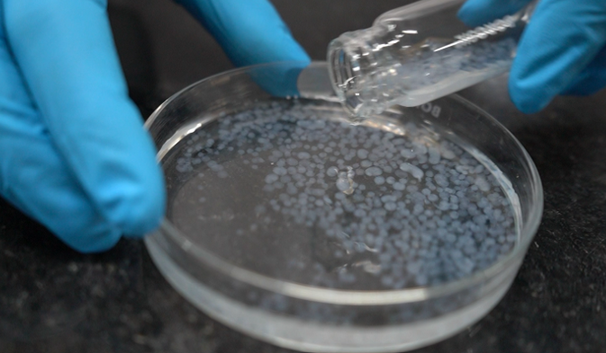 Porous Beads View 2